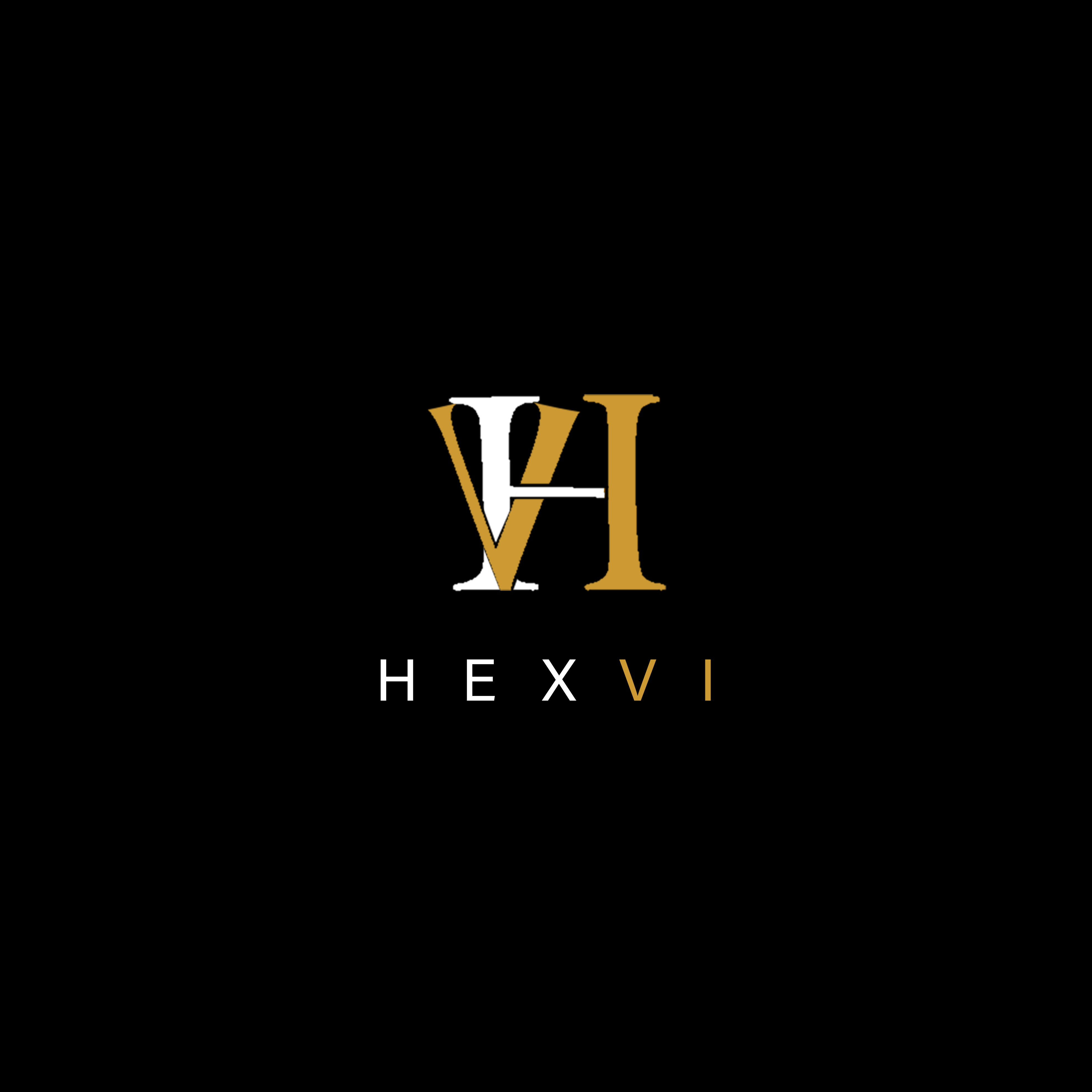 Hexvi Agency Logo